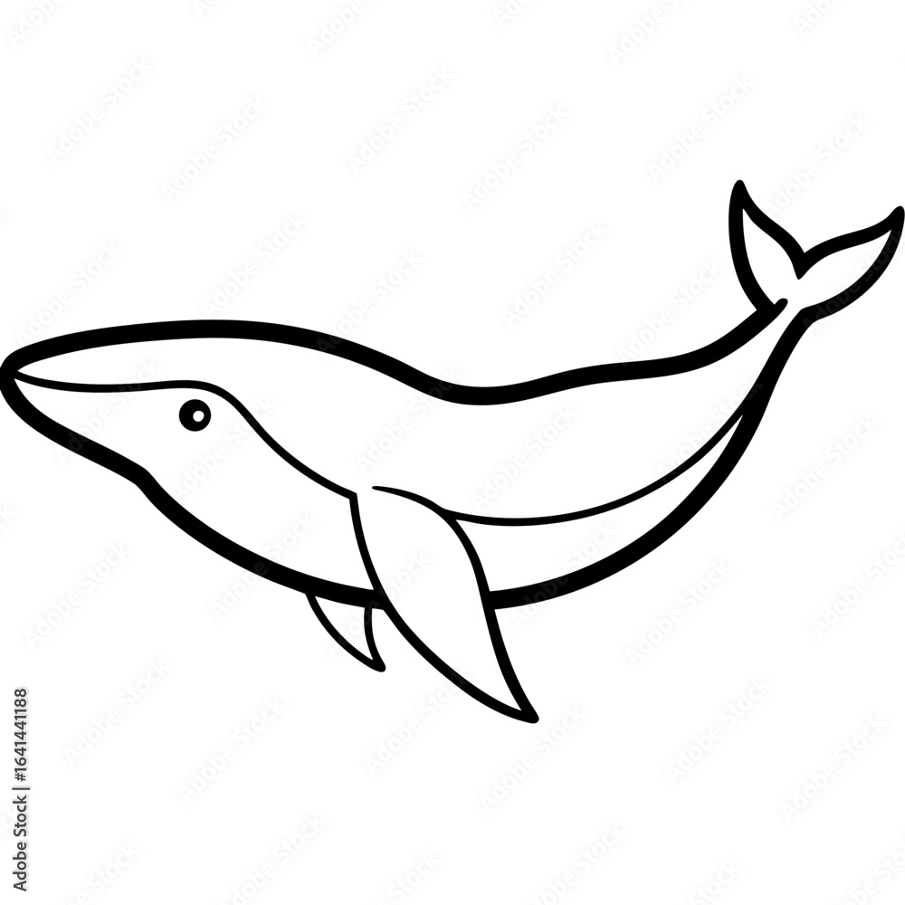 Obraz premium shark vector illustration