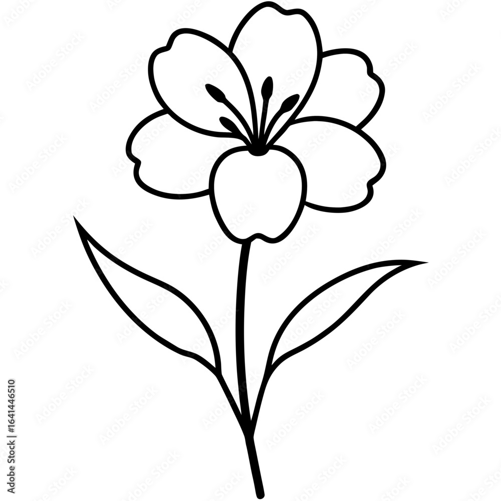 Fototapeta premium hand drawn flower