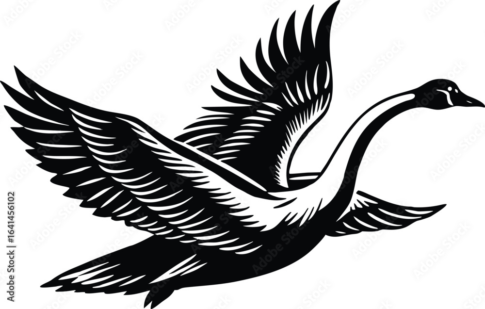 Obraz premium Illustration of a swan in flight isolated on white background, a graceful and elegant waterfowl in nature