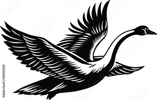 Illustration of a swan in flight isolated on white background, a graceful and elegant waterfowl in nature