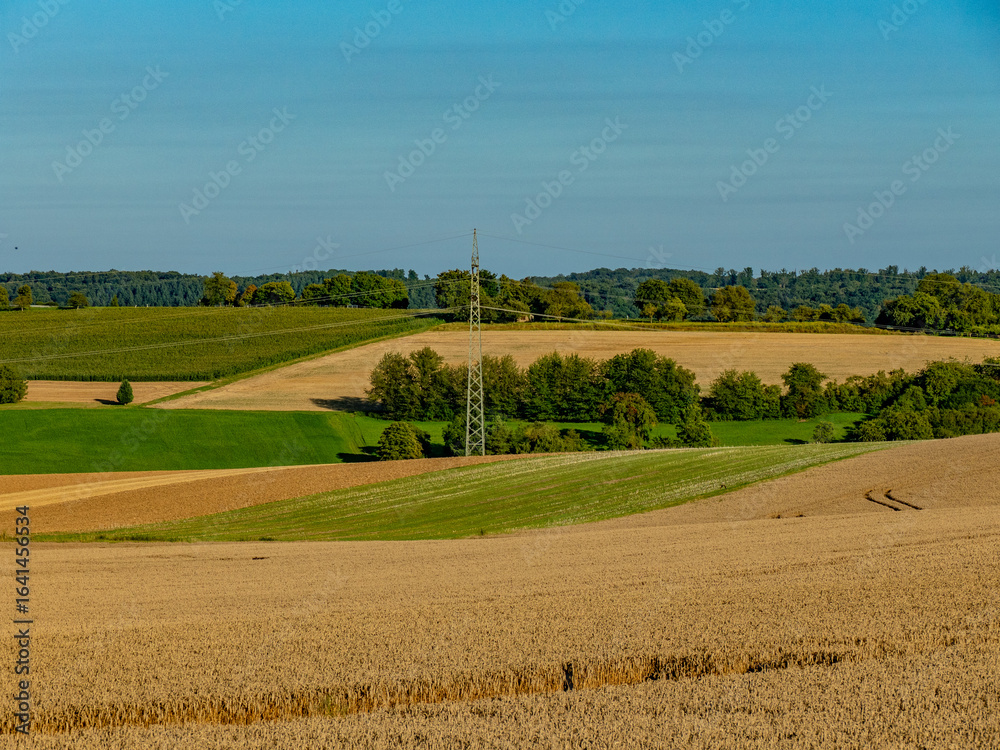 Obraz premium Hochspannungsmasten im Feld