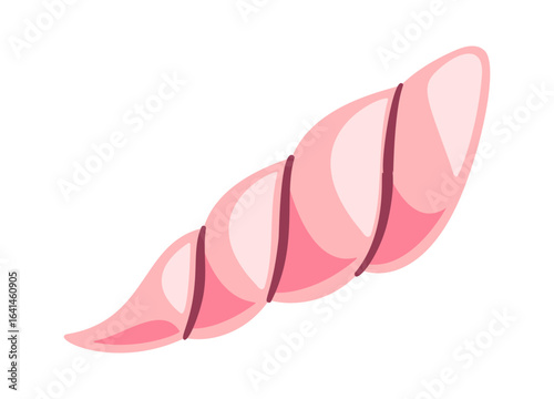 Long spiral seashell aquatic mollusk