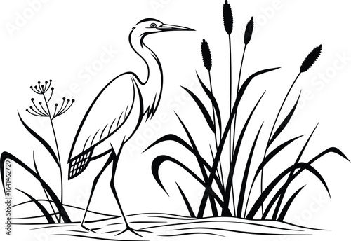 A graceful heron wades among reeds, poised to snatch a fish in the marsh