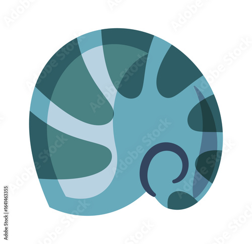 Nautilus sea shell exotic element