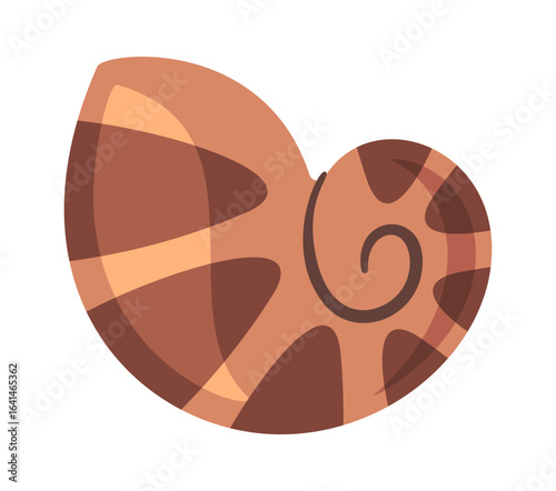 Brown spotted sea shell mollusk