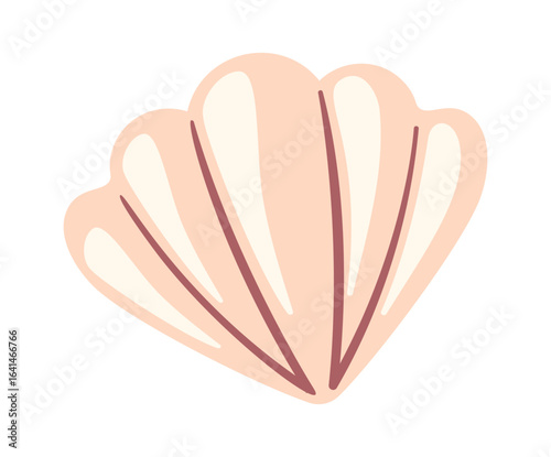Tropical bivalve pearl sea shell