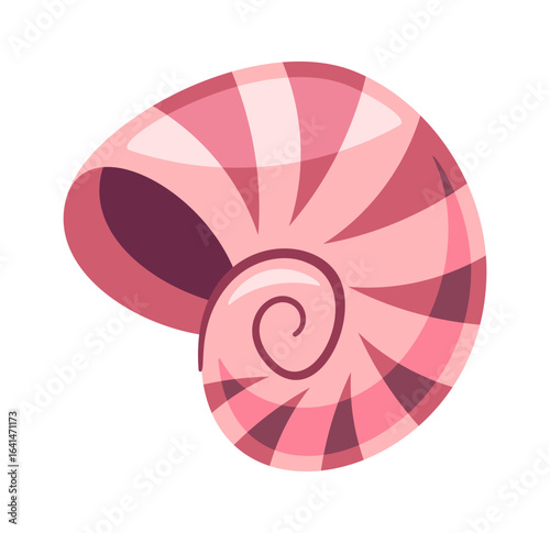Whelk seashell exotic nautical shell