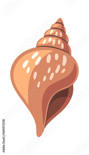 Tropical seashell spiral conches element