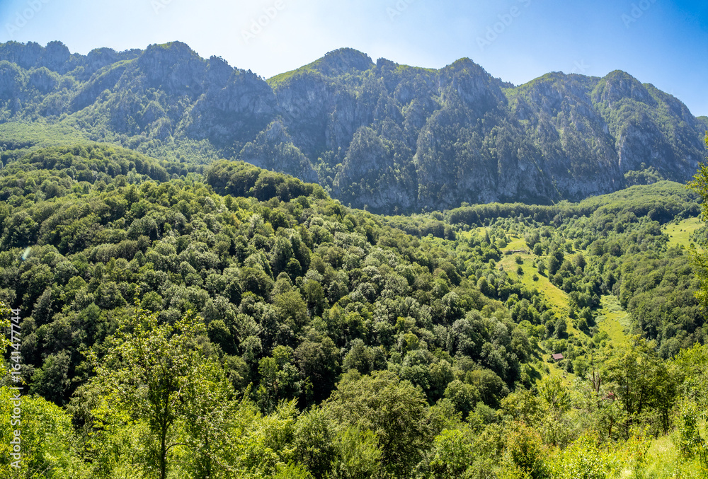 Fototapeta premium cheile prisacinei, Rumania