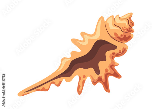 Coral reef sea shell element