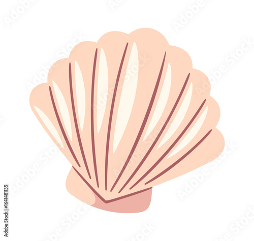 Aesthetic pearl seashell decorative element