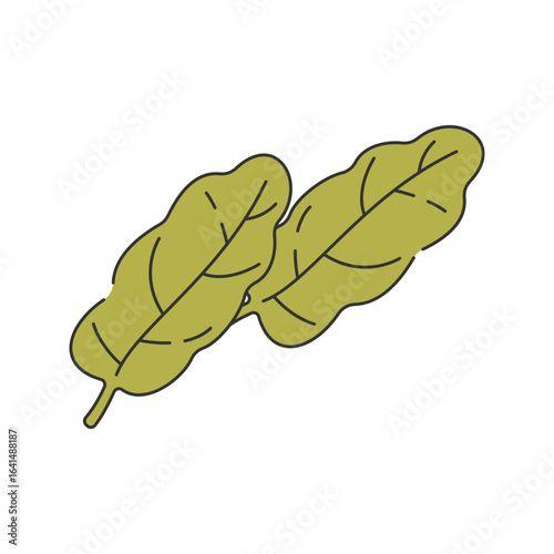 Greens Hand drawn style leafy greens or spinach for healthy breakfast and salad visuals ideal for nutrition and vegan designs