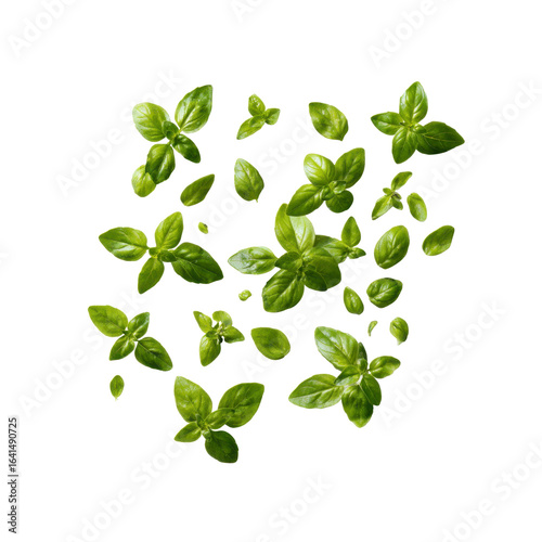 Fresh Basil Leaves Falling on Black Background - Culinary Herb Photography