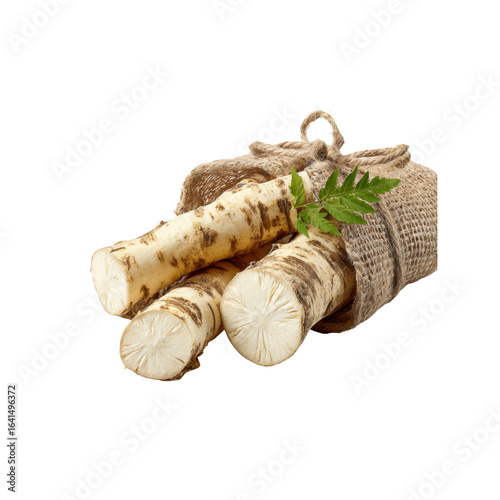Fresh Horse Radish Roots in Burlap Sack