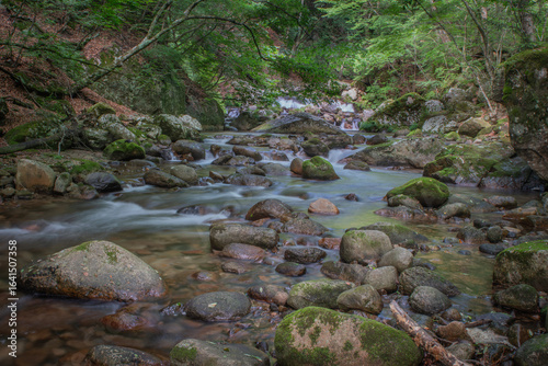 Fototapeta 山梨県北杜市の本谷川の、長時間露光で撮影した渓流。スローシャッターによって絹のように滑らかになった水の流れが、苔むした岩の間を縫うように進む。深く静かな森の、神秘的で癒やされる風景。