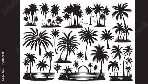 palm tree silhouettes