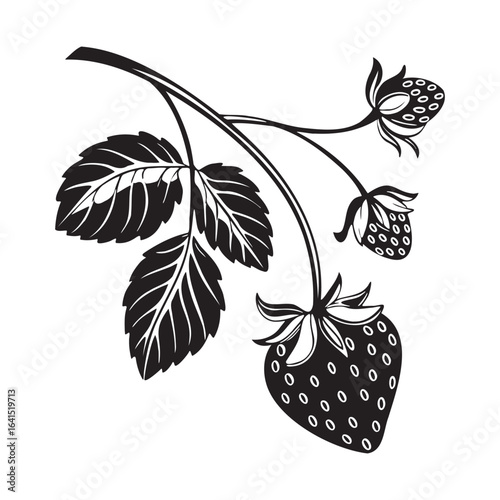 Vintage black and white illustration of a strawberry plant with fruit and leaves