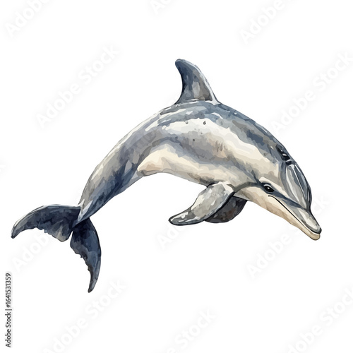 Dolphin, watercolor illustration vector, isolated on a white background.