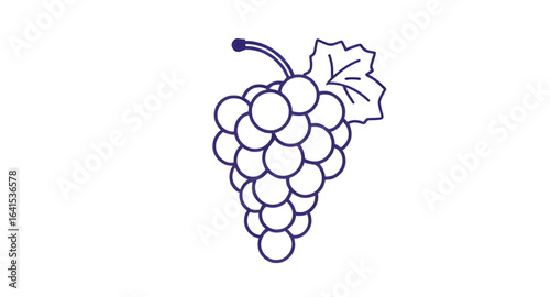 grapes food vector, grapes symbol, grapes fresh bunch, grapes realistic illustration, vineyard grapes, grapes summer fruit, grapes harvest, grapes organic farming, grapes market design, grapes farm pr