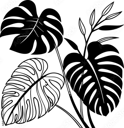 SVG of tropical fern plants.Black and White Tropical Plant Silhouette Design Art