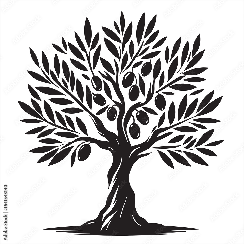 Obraz premium Olive tree