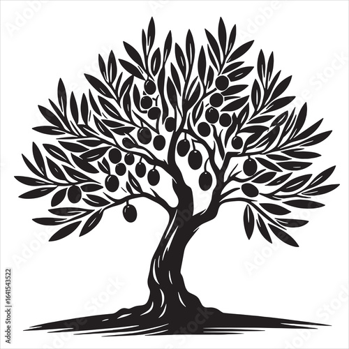 Olive tree