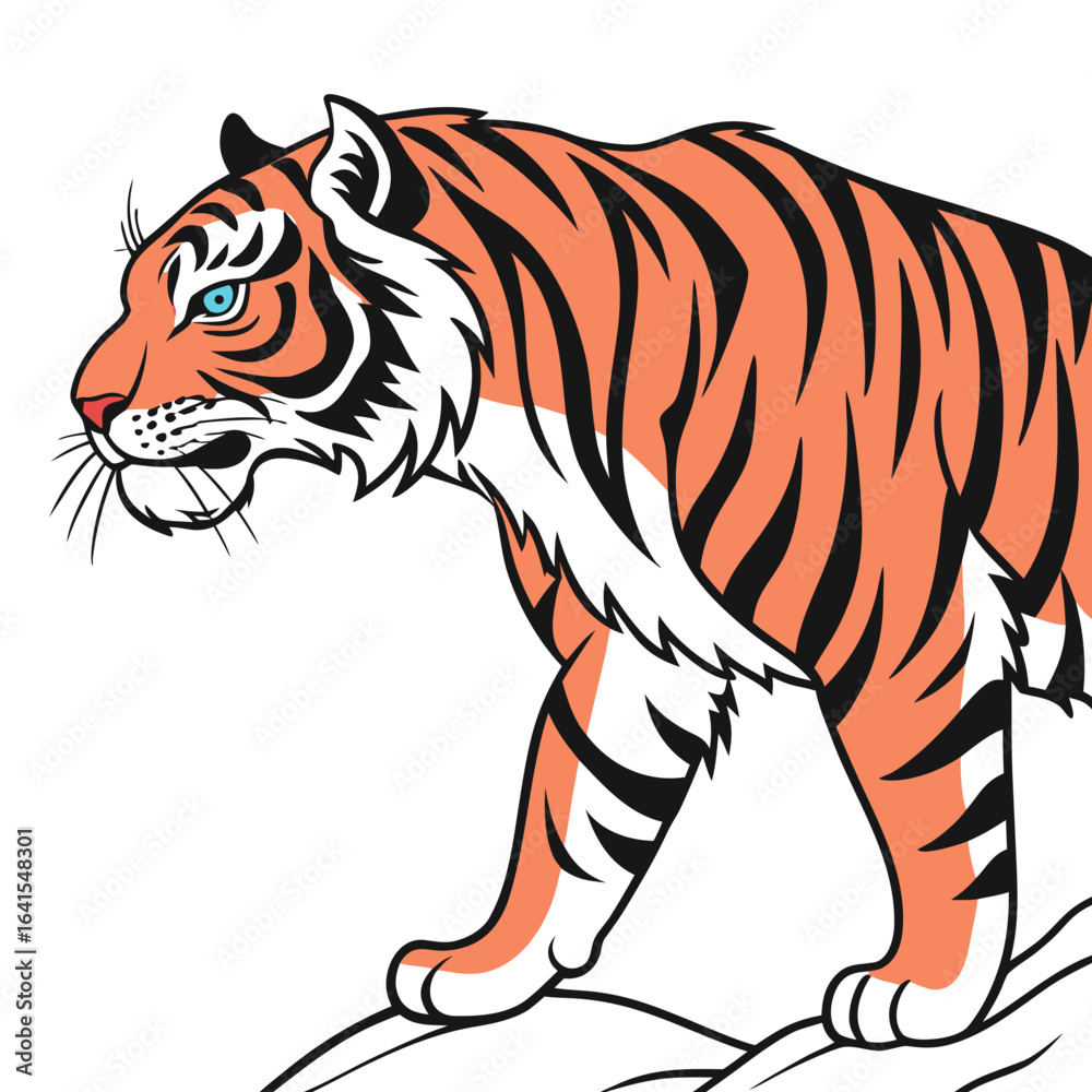 Naklejka premium tiger vector illustration