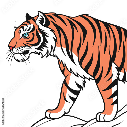 tiger vector illustration