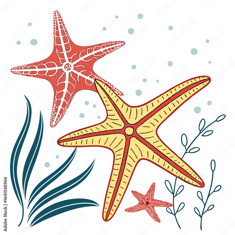 sea star vector illustration