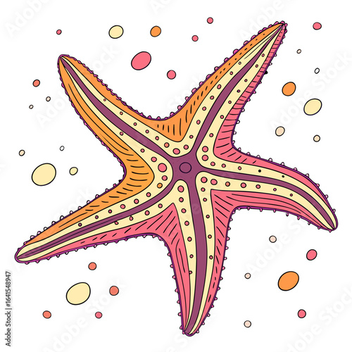 sea star vector