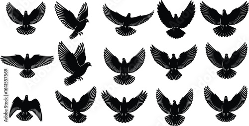 Bird silhouettes in various flying poses, avian flight vector art, wildlife illustration, nature design, migratory bird icon set, freedom concept