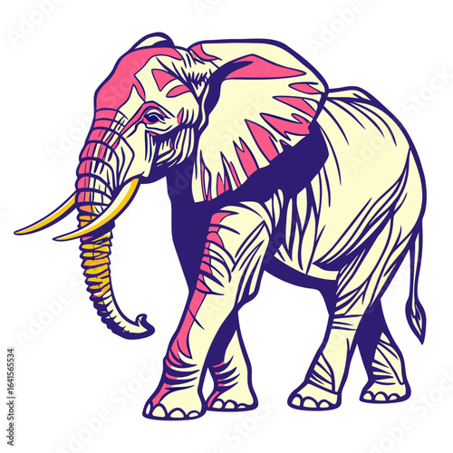 zebra vector illustration