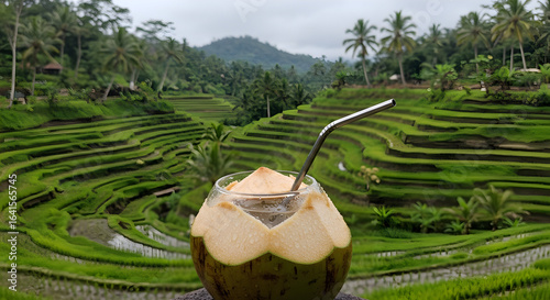 A Photorealistic shot of Coconut water in a gourd with metal straw on a pristine Balinese rice terrace. Condensation on the glass and refracted light through liquid contribute to a serene and 