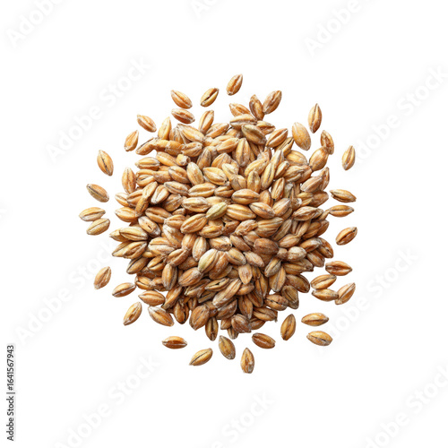 High-Angle Close-Up of a Pile of Barley Grains Isolated on Black Background
