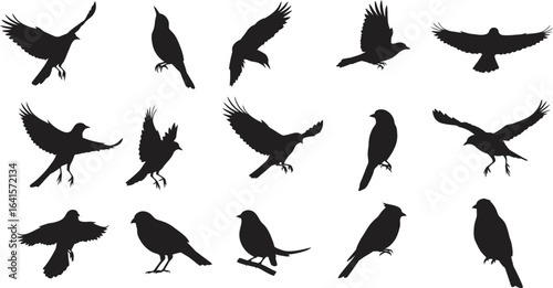 Collection of black bird silhouettes in various flying and perched poses flying bird perched bird 1