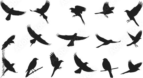 Collection of black bird silhouettes in various flying and perched poses wing 1