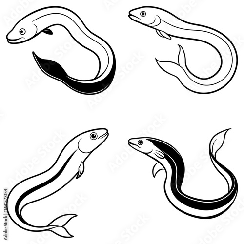 Illustration of four eels in different poses with black and white coloring on a white background