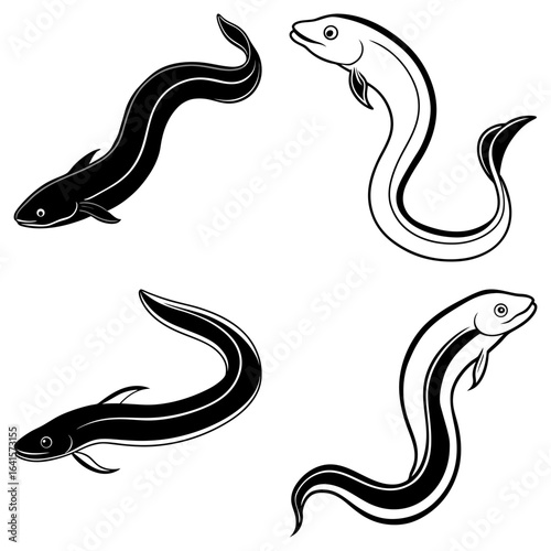 Four eels in black and white with curved bodies swimming in different directions on a white background