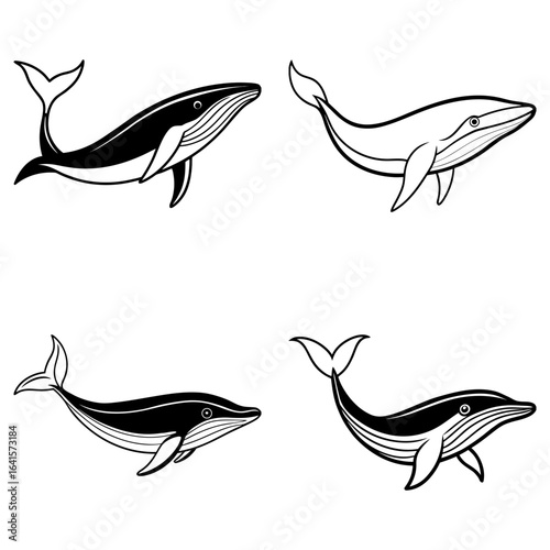 Four whale illustrations in black and white showing different poses and orientations on a white background