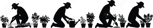 Gardener silhouette working with potted plants, watering flowers, planting garden plants, garden care, outdoor gardening tools, nature plant care