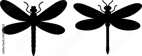 Dragonfly black silhouettes set, Set of dragonfly, dragonfly collections, Vector of dragonfly, dragonfly silhouette, dragonfly isolated on white background