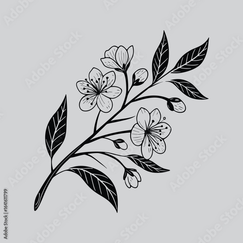Fuchsia Flowers with Buds Illustration