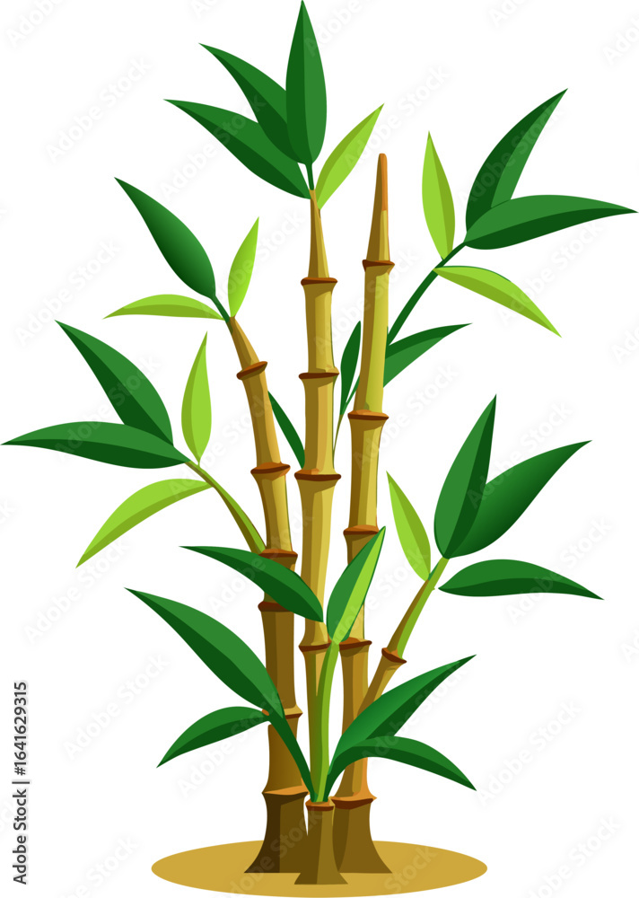 Fototapeta premium Bamboo icon