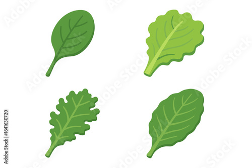Isometric Flat Leafy Greens Icons Set of Culinary Spinach, Lettuce, Kale, Collard Greens Vector Illustrations with Transparent Background for Healthy Food Design