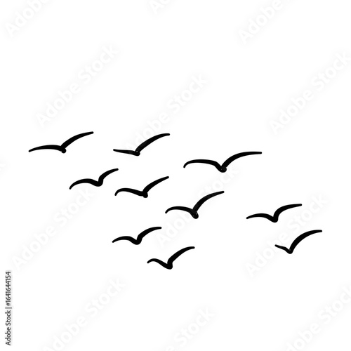 flock of bird vector design hand drawn