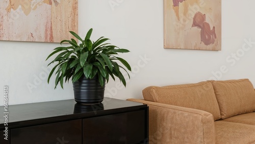 Houseplant positioned on a ...