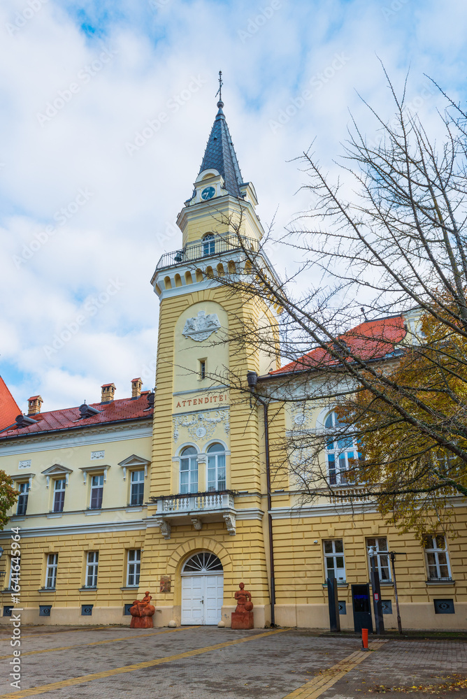 Obraz premium The Kikinda City Hall features a tall clocktower and yellow baroque-style facade. This civic landmark in Serbia blends historic charm with architectural elegance.