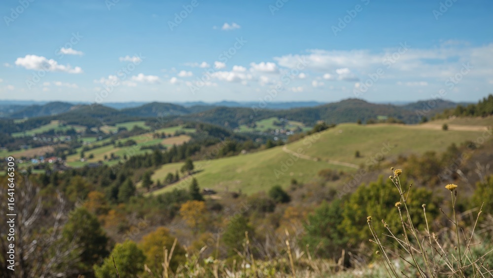 Fototapeta premium Wildlife Setting Including Blank Space