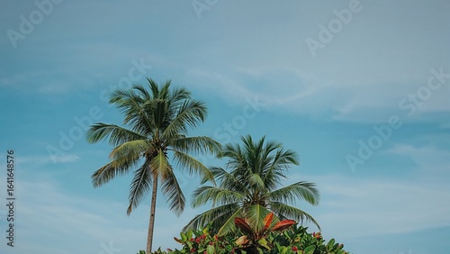 Blue sky backdrop featuring...