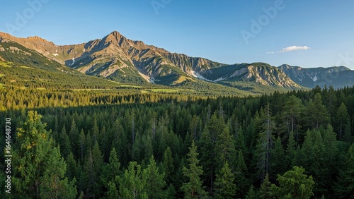 Stunning natural mountain v...